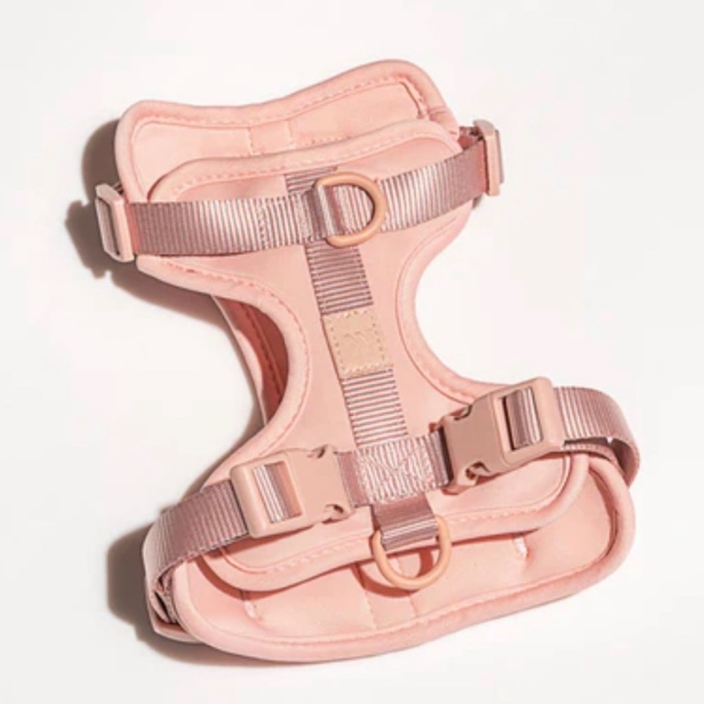 WILD ONE HARNESS